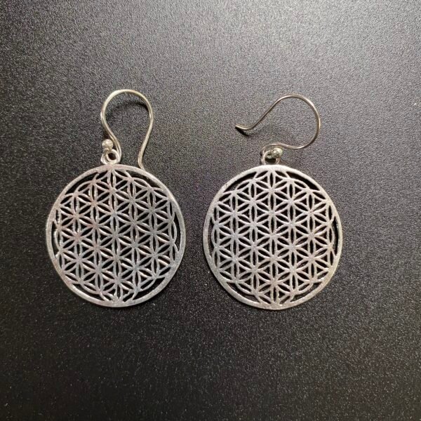 boucle oreilles plaqué argent 19